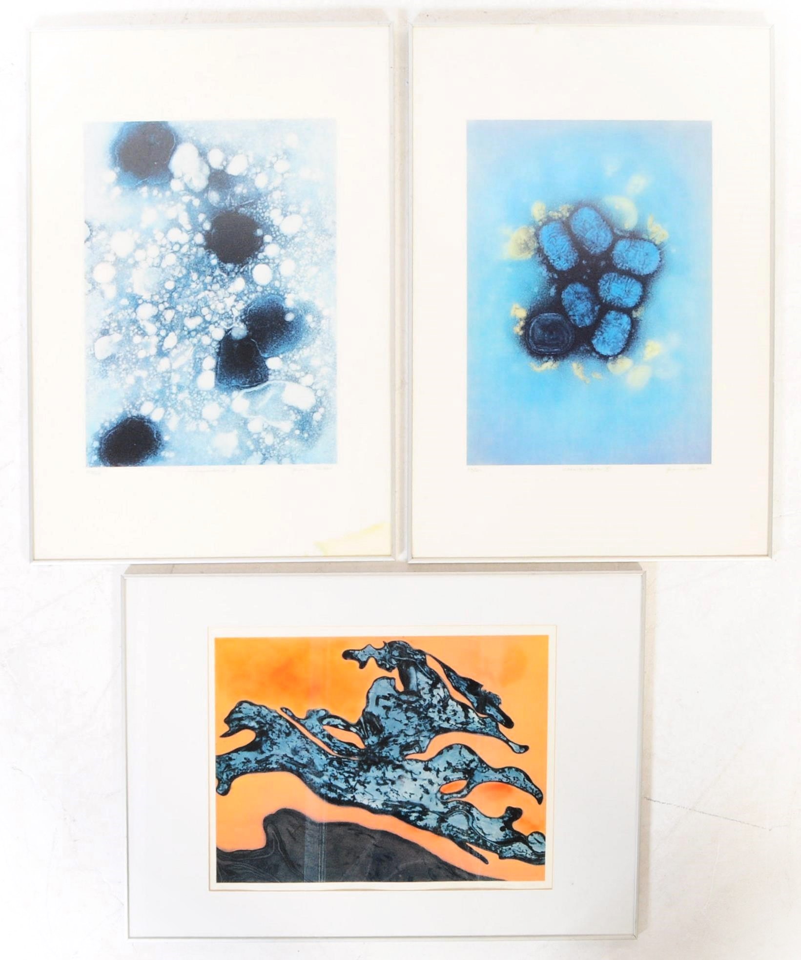 THREE GUDRUN KUTTER ULTRASTRUCTURE LIMITED EDITION PRINTS