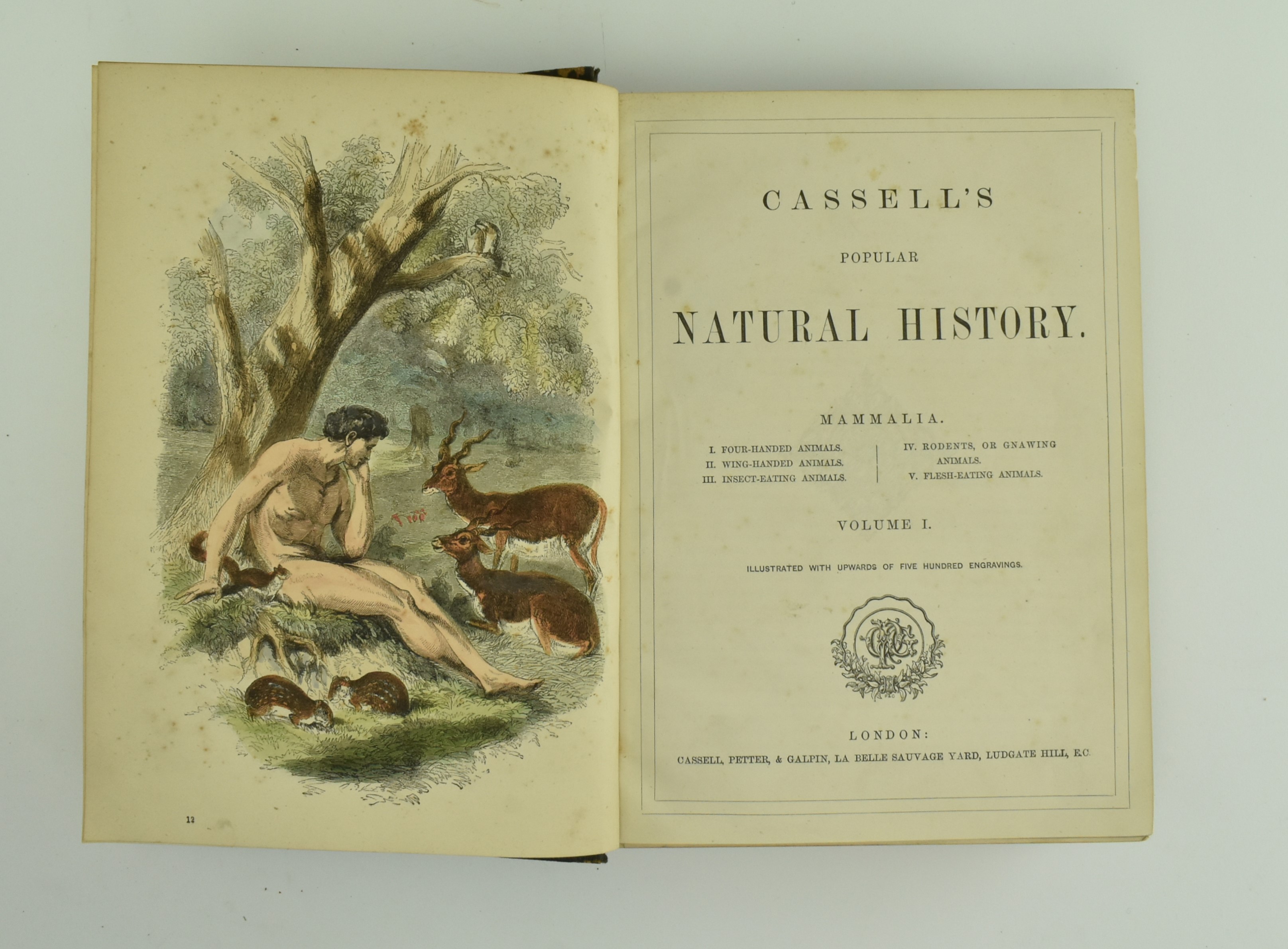 NATURAL HISTORY INTEREST. A COLLECTION OF FOUR WORKS - Image 10 of 11