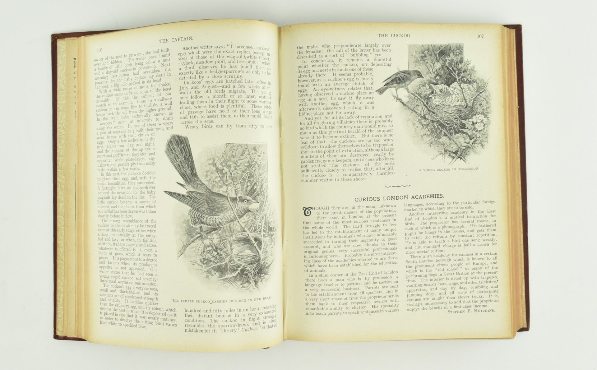 STOKER, CONAN DOYLE & WELLS. COLLECTION OF FOUR BOOKS - Bild 10 aus 11