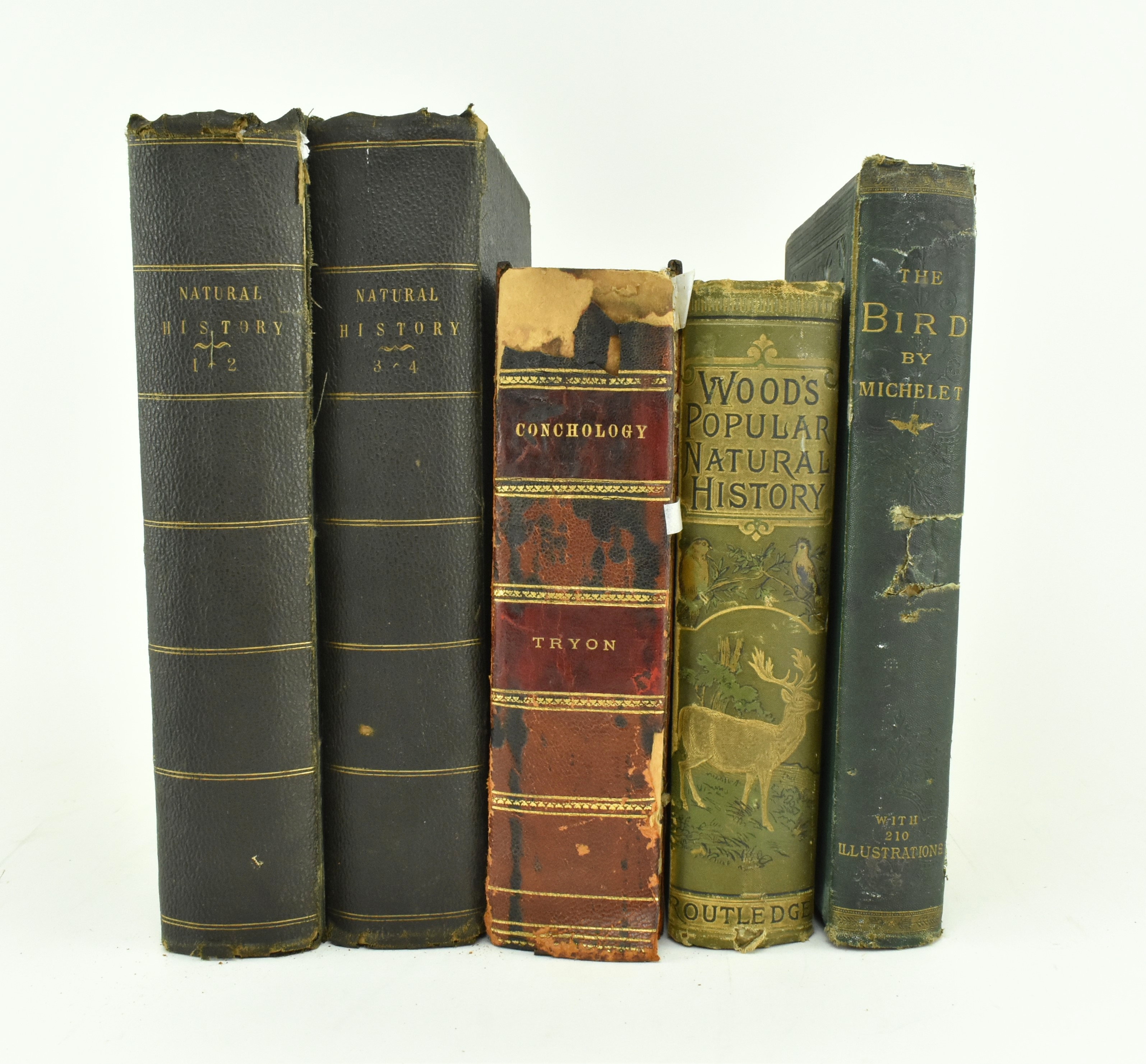 NATURAL HISTORY INTEREST. A COLLECTION OF FOUR WORKS