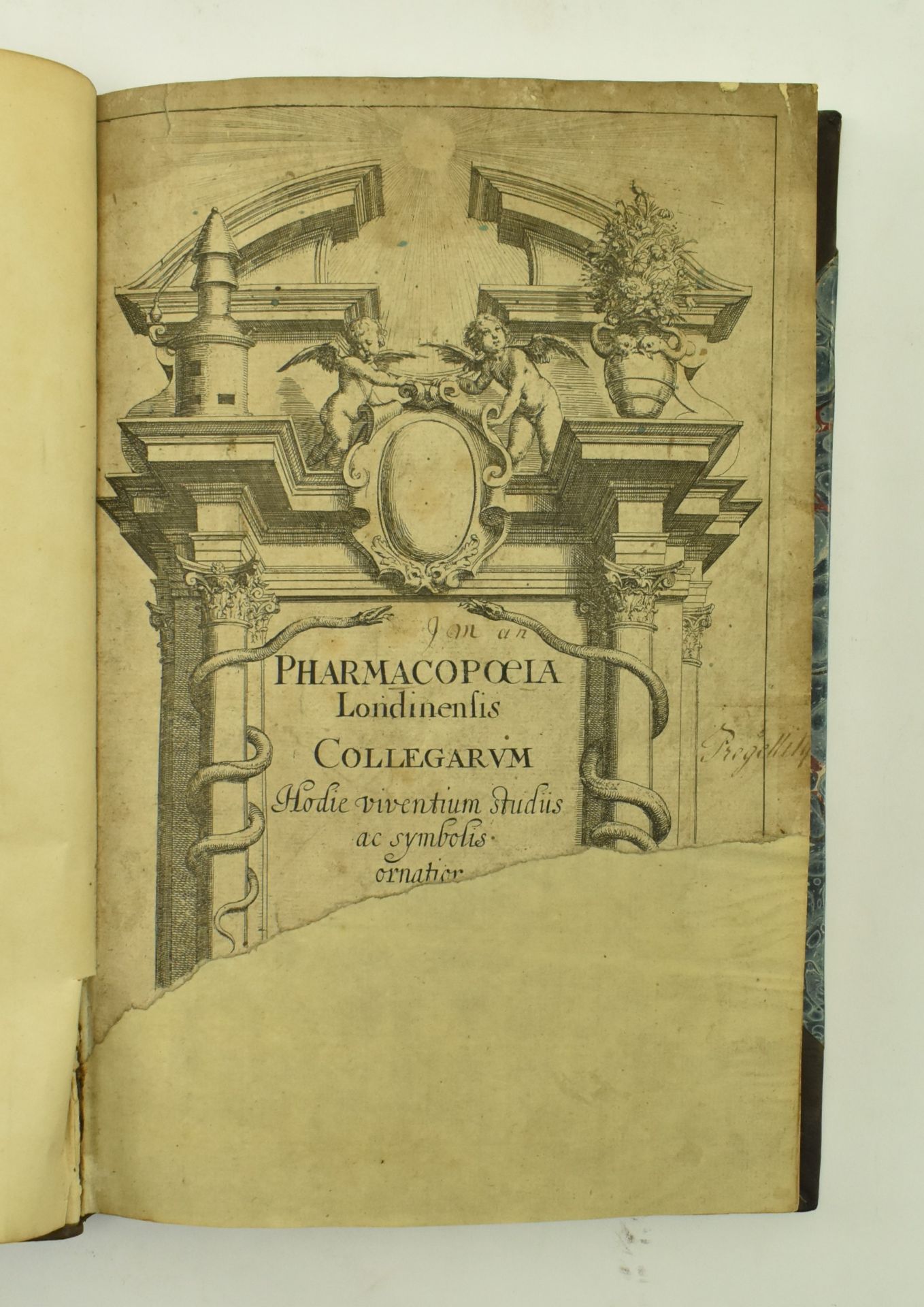 1638 PHARMACOPOEIA LONDINENSIS COLLEGARUM FIFTH EDITION - Image 2 of 9