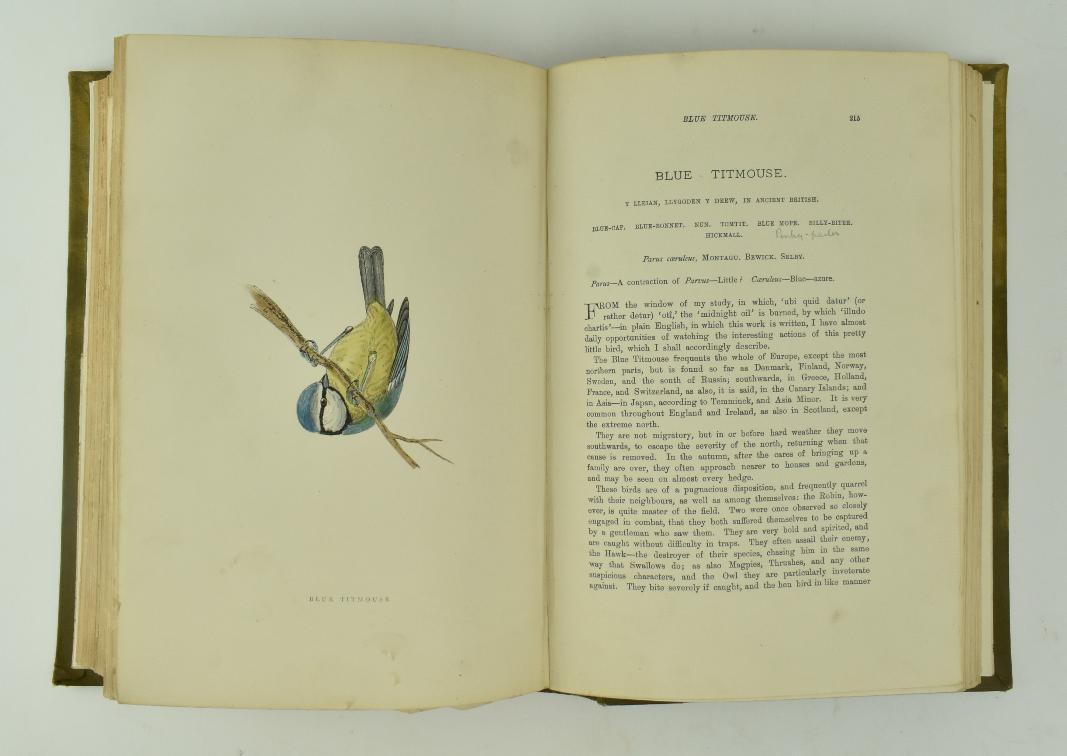 MORRIS, F. O. A HISTORY OF BRITISH BIRDS, 4TH ED IN SIX VOLUMES - Image 4 of 8