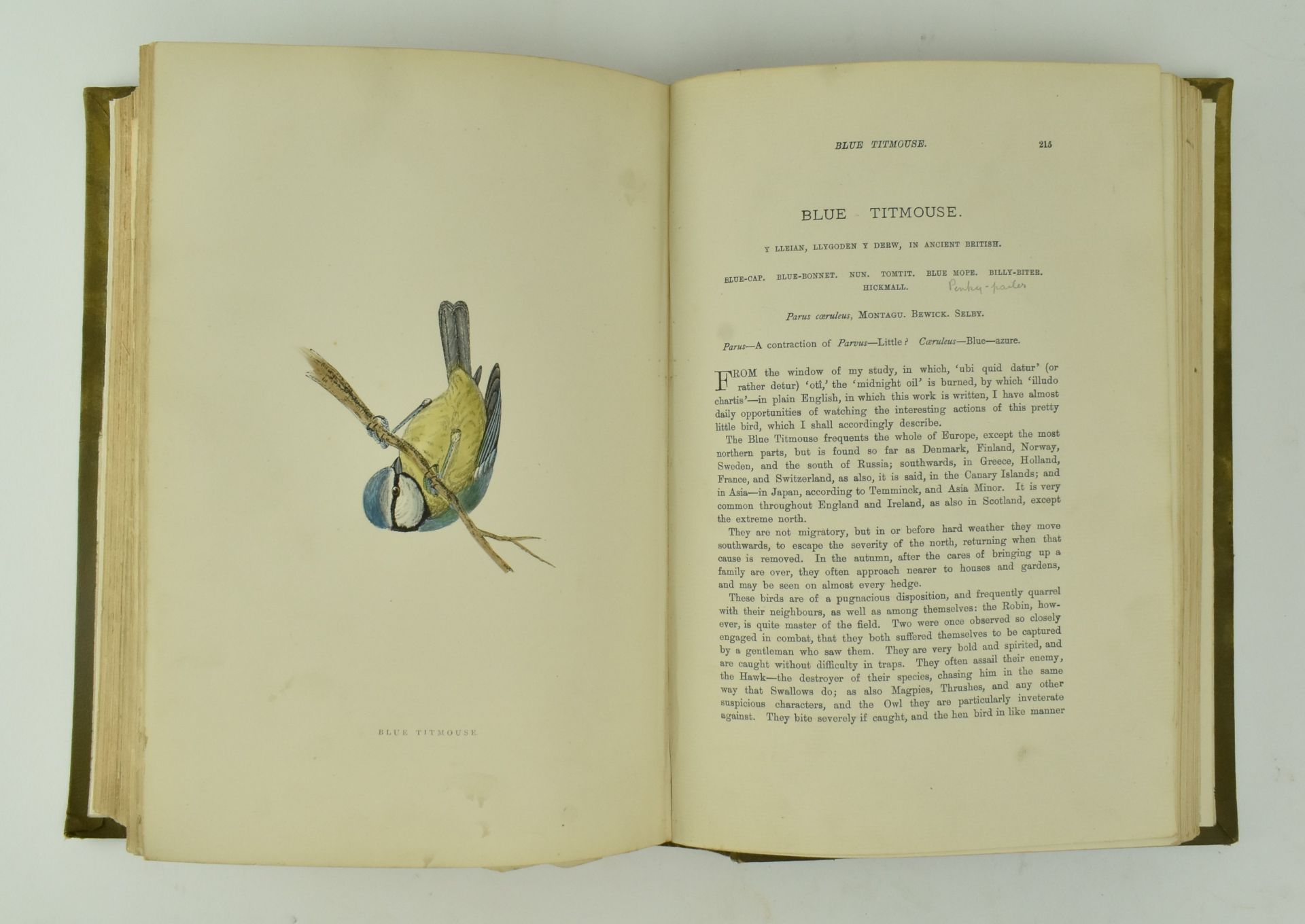 MORRIS, F. O. A HISTORY OF BRITISH BIRDS, 4TH ED IN SIX VOLUMES - Image 4 of 8