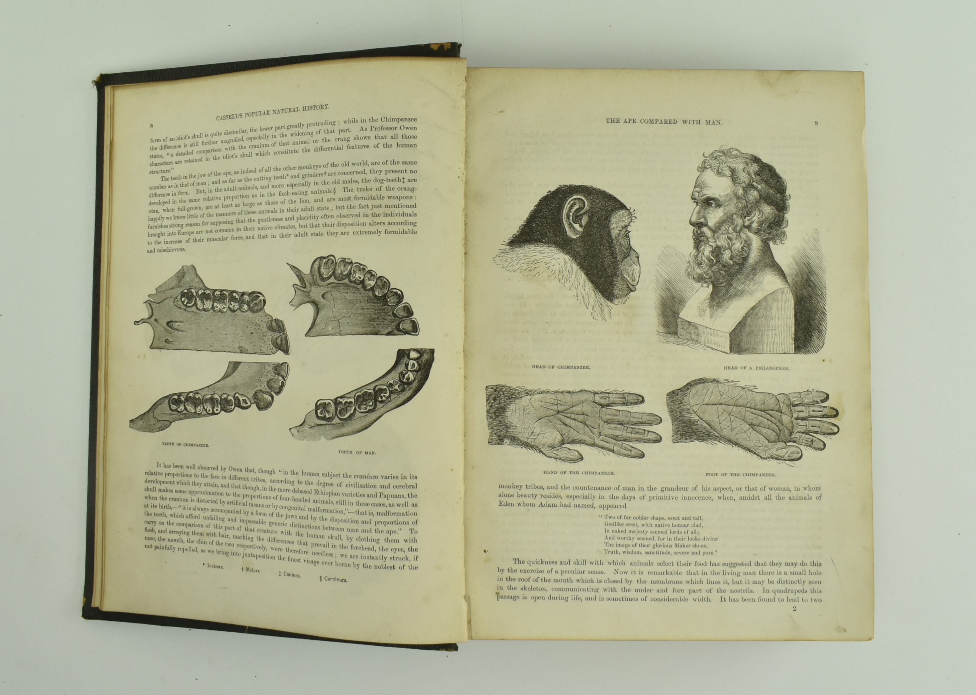 NATURAL HISTORY INTEREST. A COLLECTION OF FOUR WORKS - Image 11 of 11