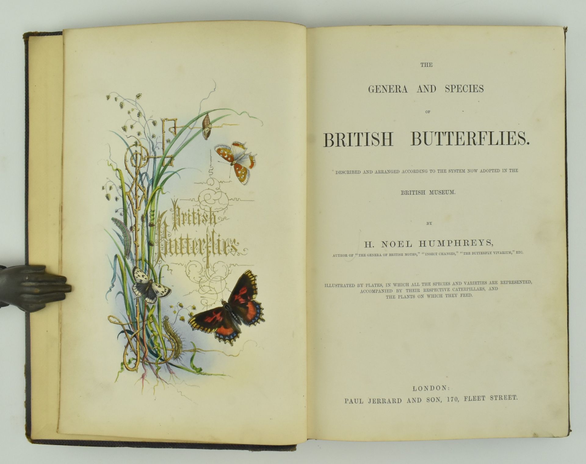 NATURAL HISTORY. THE GENERA AND SPECIES OF BRITISH BUTTERFLIES - Image 2 of 5