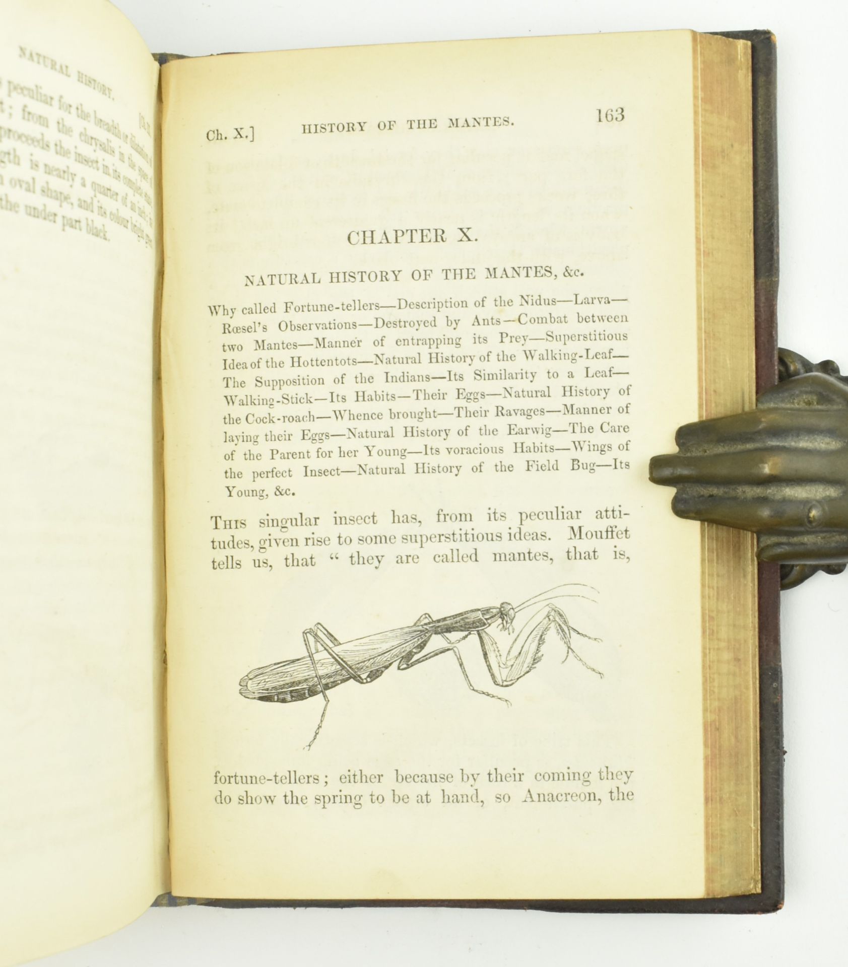 1829 THE NATURAL HISTORY OF INSECTS, TWO VOLUMES IN ONE - Image 4 of 5