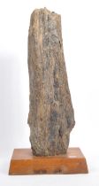 NATURAL HISTORY - LARGE FOSSILISED WOOD FRAGMENT ON PLINTH