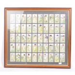 PLAYERS CIGARETTES - COLLECTION OF CRICKET CIGARETTE CARDS