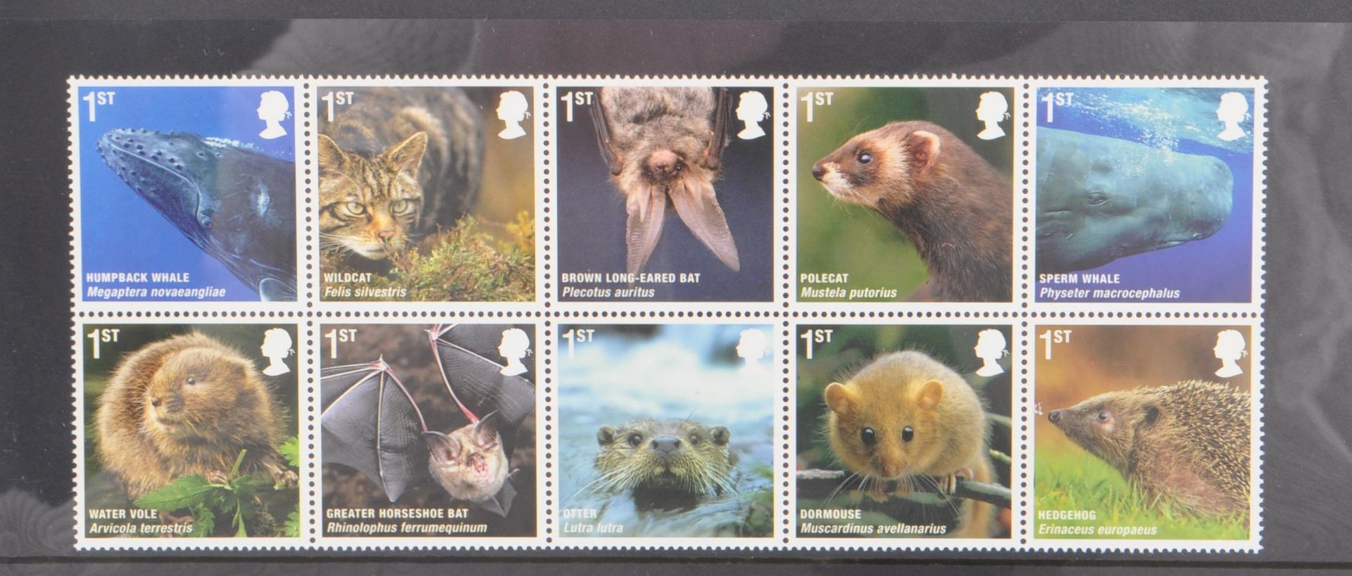 COLLECTION OF 21ST CENTURY BRITISH POSTAGE STAMPS - Image 7 of 7