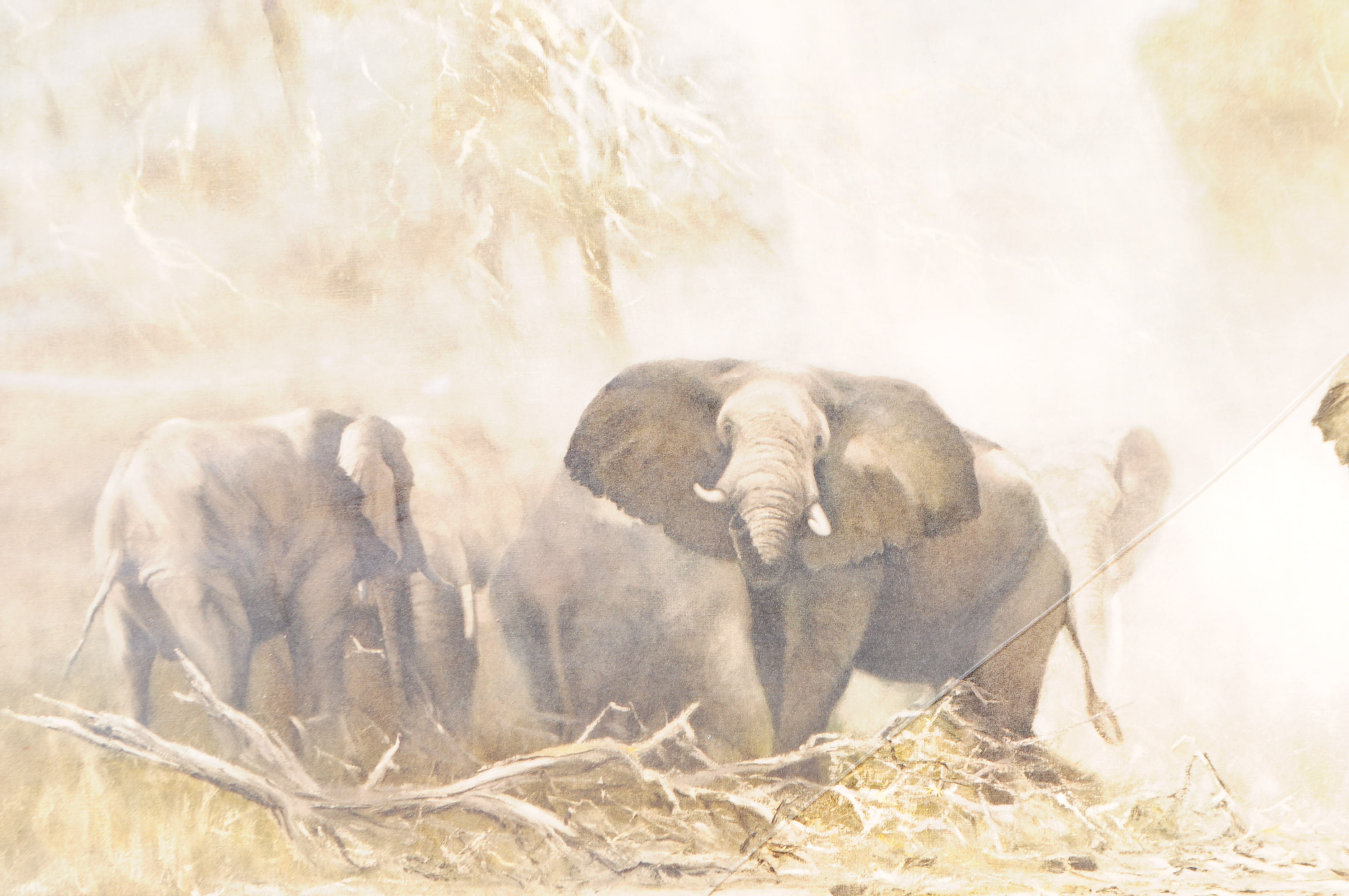 DAVID SHEPHERD PRINT TITLED 'ELEPHANTS AT AMBOSELI' FRAMED - Image 3 of 5