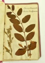 VICTORIAN C1880s BOOK OF PRESSED FLOWERS EX LIB MARGARET GLYN