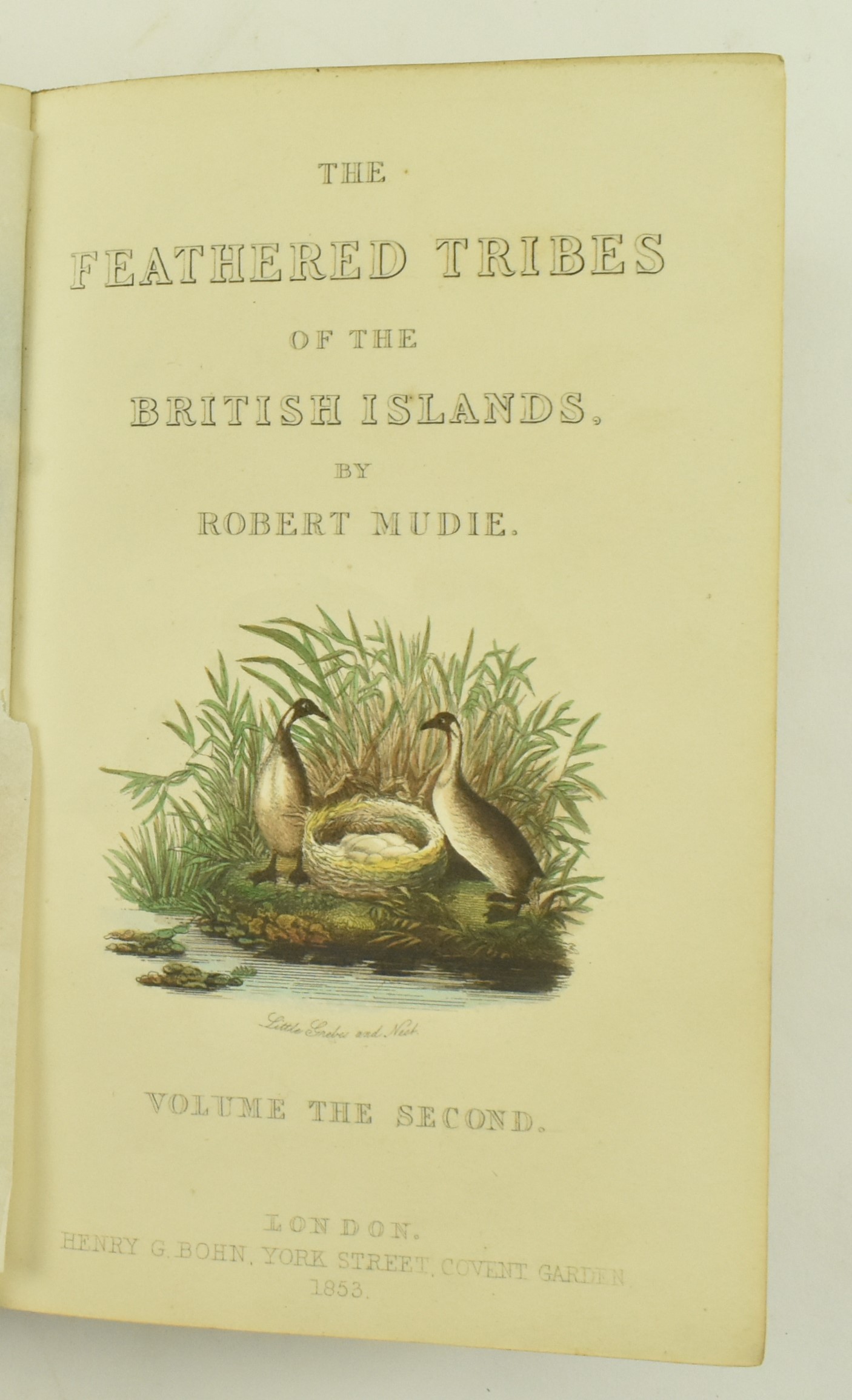 MUDIE, ROBERT. 1853 BRITISH BIRDS FOURTH EDITION IN TWO VOL - Image 7 of 9