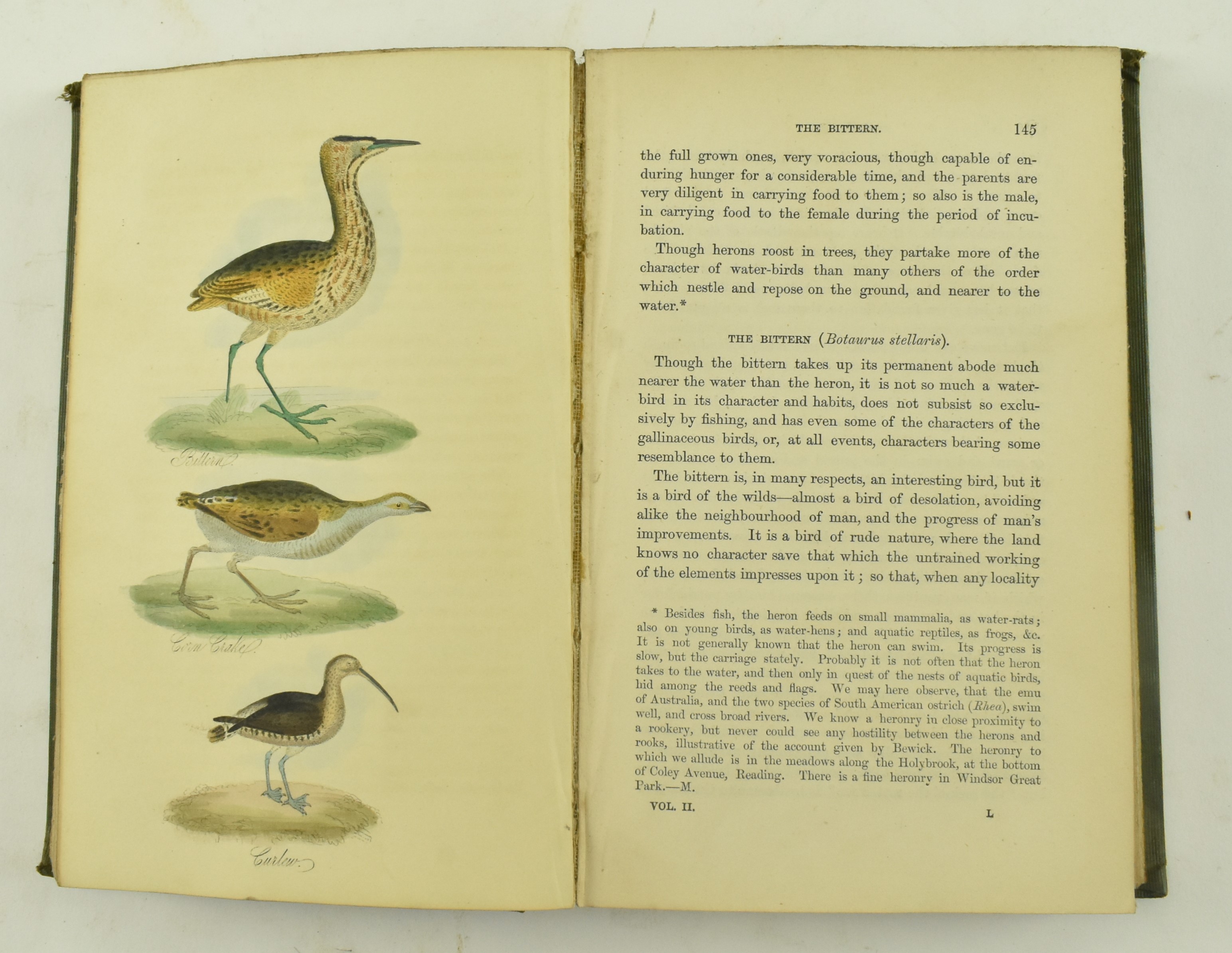 MUDIE, ROBERT. 1853 BRITISH BIRDS FOURTH EDITION IN TWO VOL - Image 8 of 9