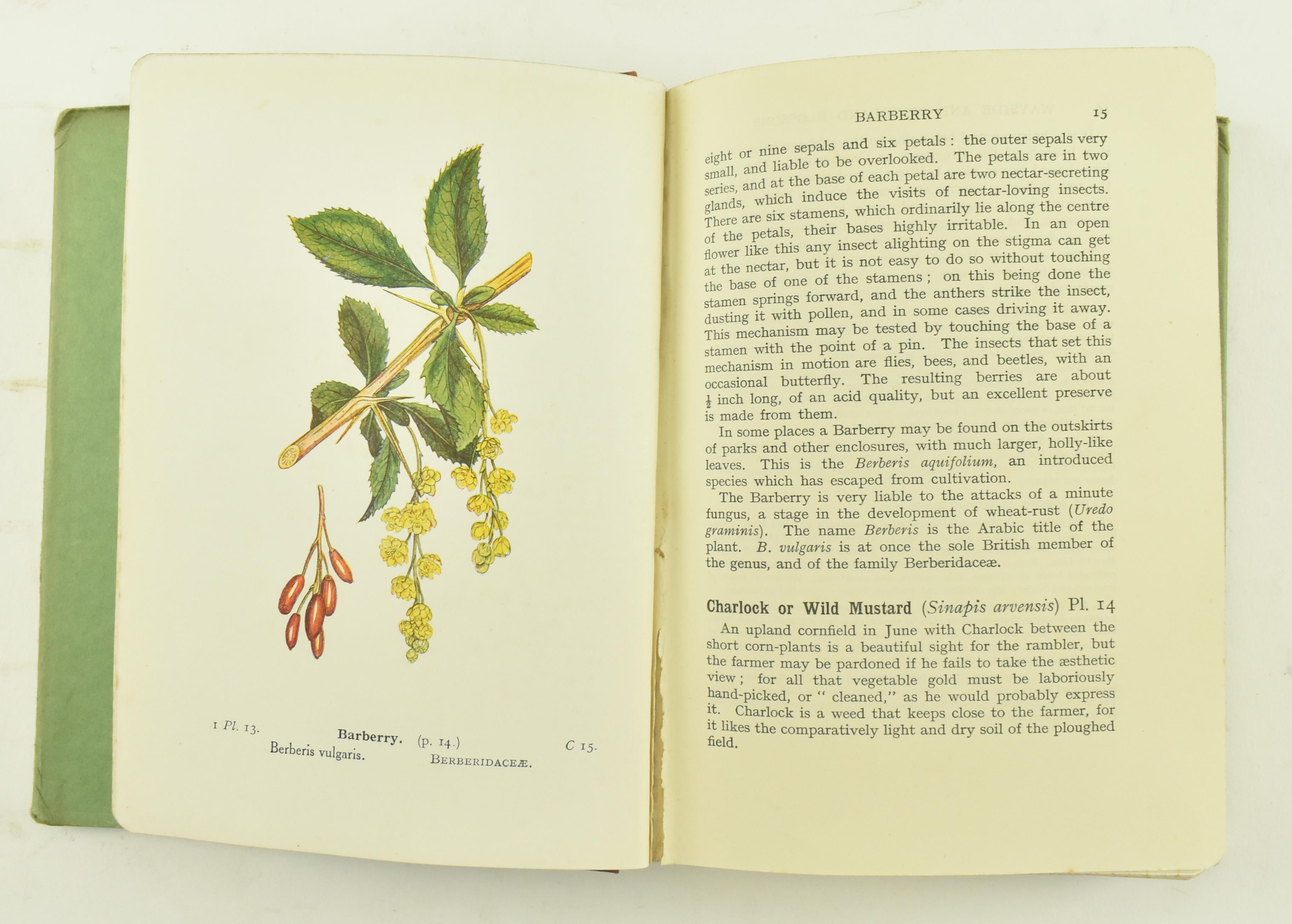 GARDENING & BOTANY. COLLECTION OF SIX VICTORIAN WORKS - Image 8 of 8