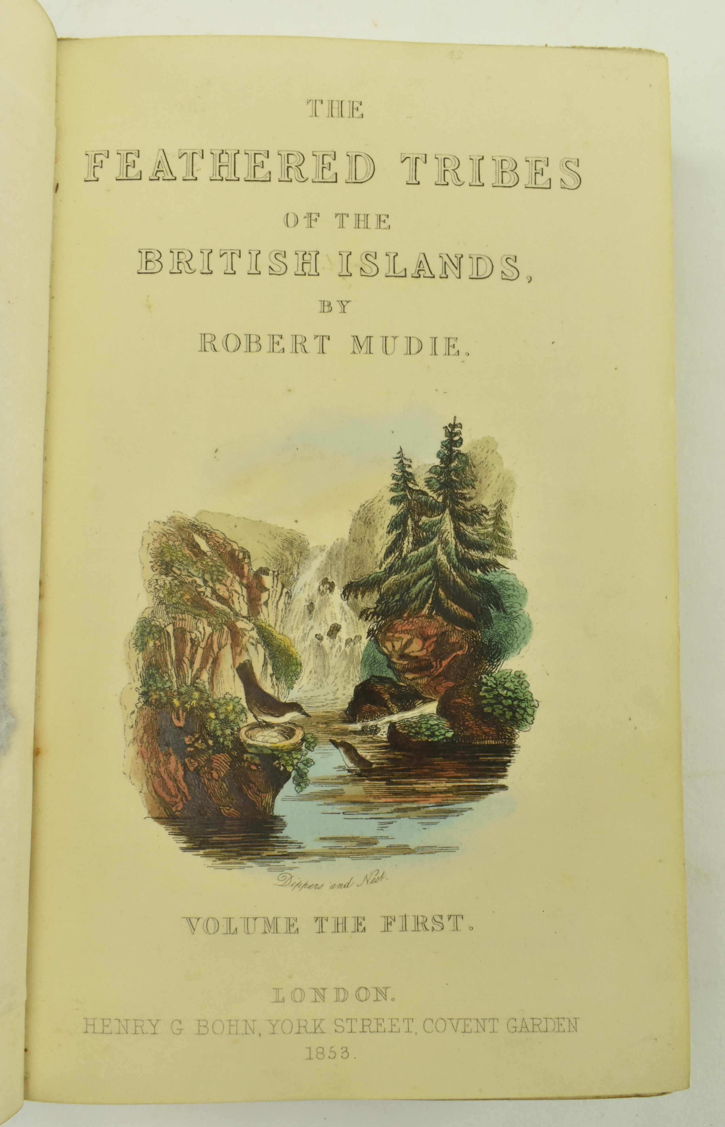 MUDIE, ROBERT. 1853 BRITISH BIRDS FOURTH EDITION IN TWO VOL - Image 3 of 9