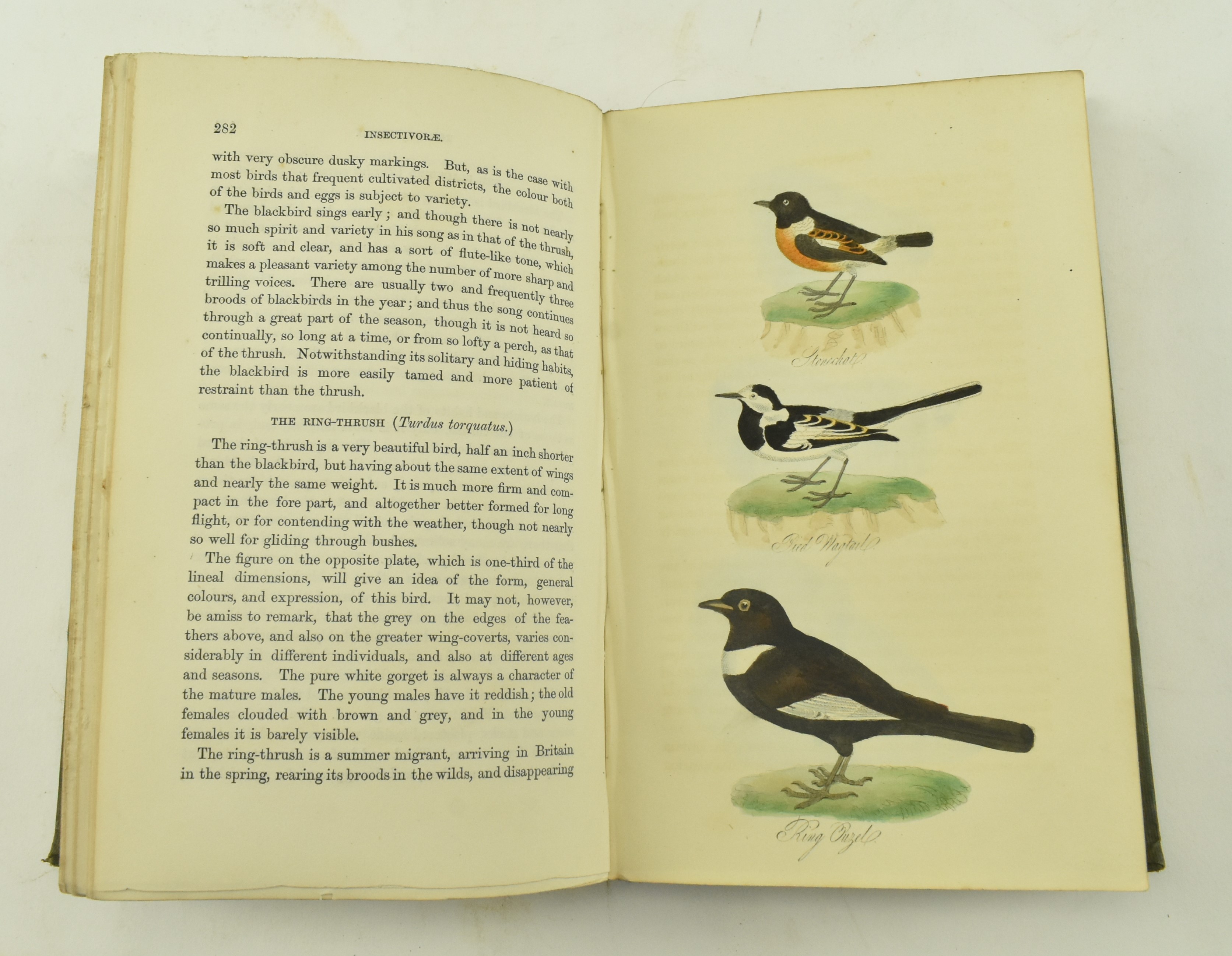 MUDIE, ROBERT. 1853 BRITISH BIRDS FOURTH EDITION IN TWO VOL - Image 6 of 9