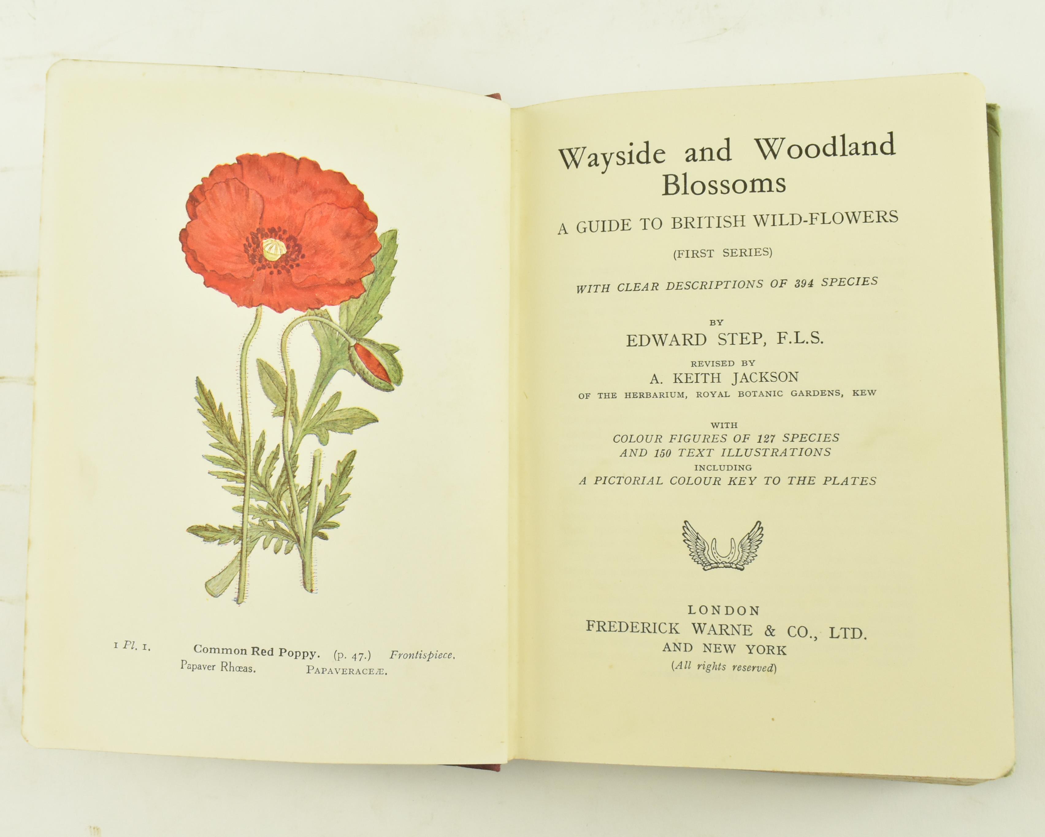 GARDENING & BOTANY. COLLECTION OF SIX VICTORIAN WORKS - Image 7 of 8