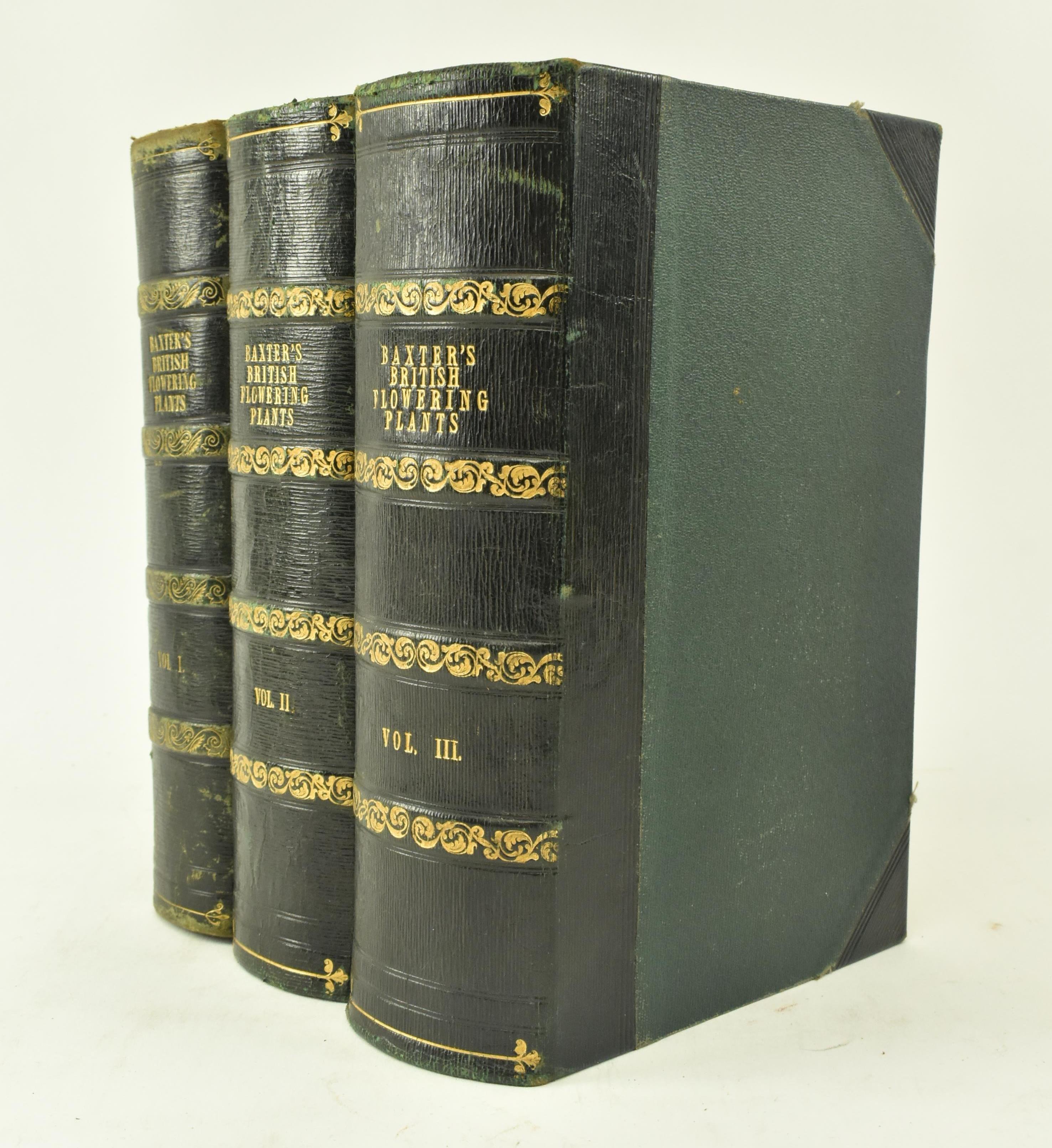 BAXTER, WILLIAM. 1834 BRITISH PHAENOGAMOUS BOTANY 2nd EDITION - Image 2 of 9