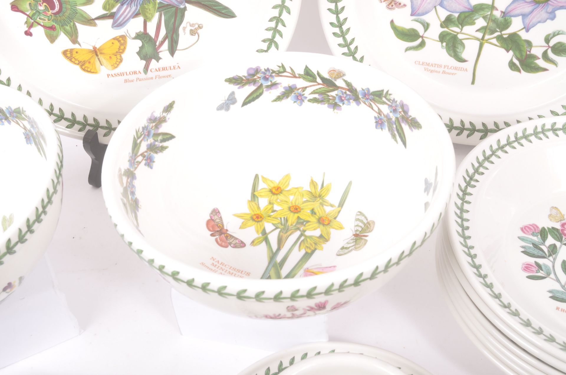 COLLECTION OF PORTMEIRION BOTANIC GARDEN DINNER / TEA SERVICE - Bild 9 aus 10