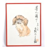 GUO DAWEI - FRAMED & GLAZED BROWN SHIH TZU DOG PRINT