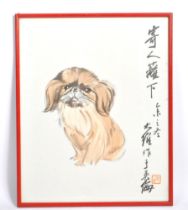 GUO DAWEI - FRAMED & GLAZED BROWN SHIH TZU DOG PRINT