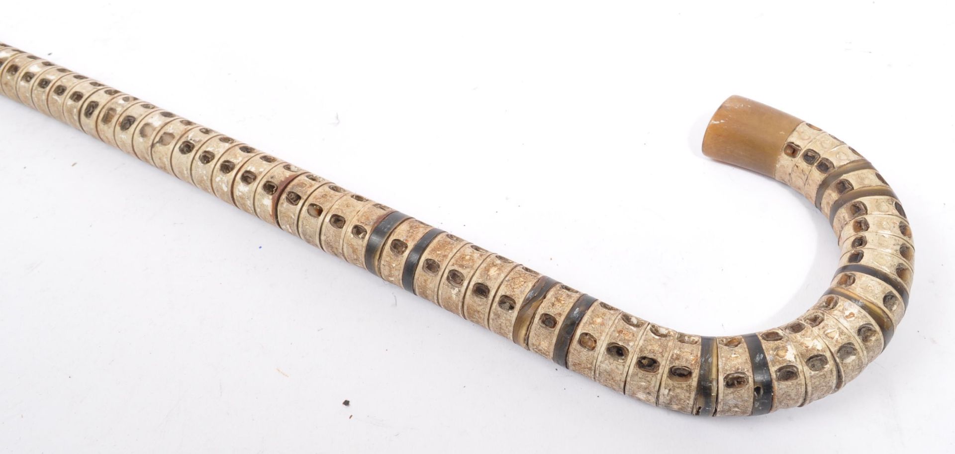 19TH CENTURY SHARK VERTEBRAE WALKING STICK - Image 4 of 5