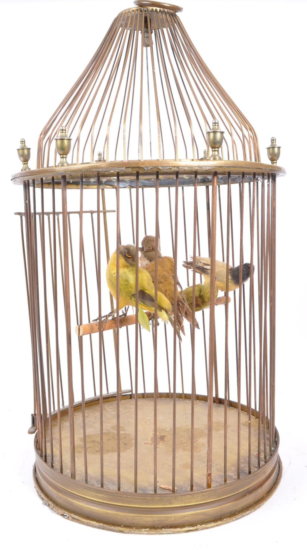 EDWARDIAN BRASS BIRD CAGE WITH FELT BIRDS WITHIN - Bild 5 aus 5