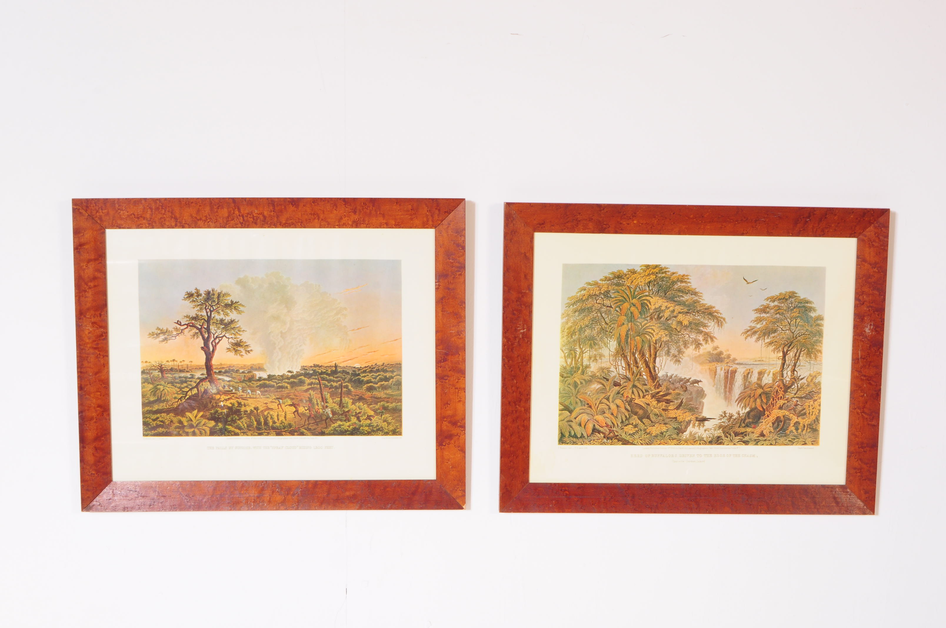 THOMAS BAINES - TWO VINTAGE 20TH CENTURY NATURE PRINTS - Image 2 of 8