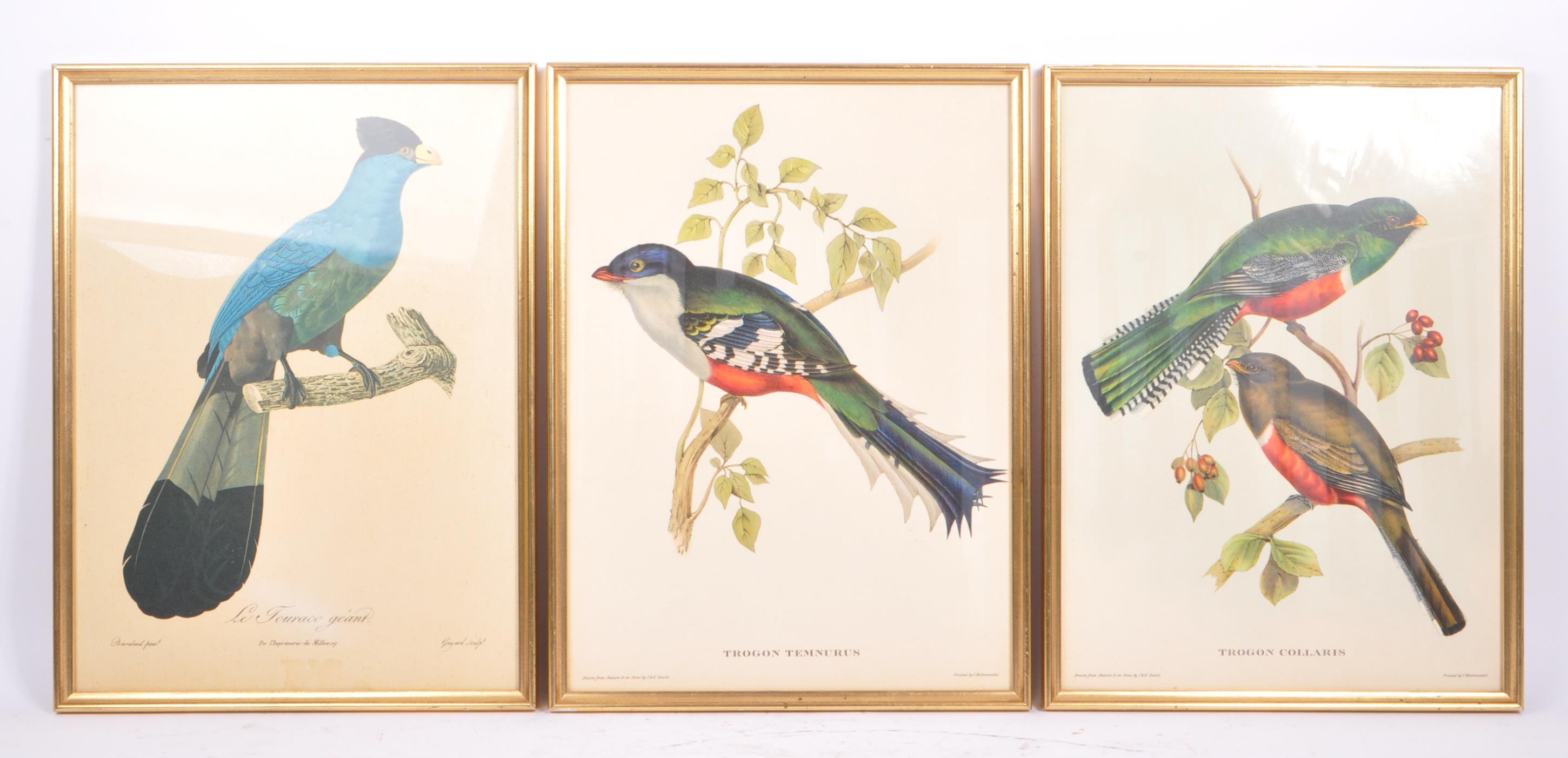 J & E GOULD - TWO VINTAGE 20TH CENTURY BIRD PRINTS