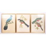 J & E GOULD - TWO VINTAGE 20TH CENTURY BIRD PRINTS