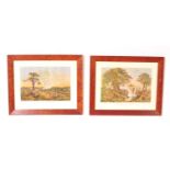 THOMAS BAINES - TWO VINTAGE 20TH CENTURY NATURE PRINTS