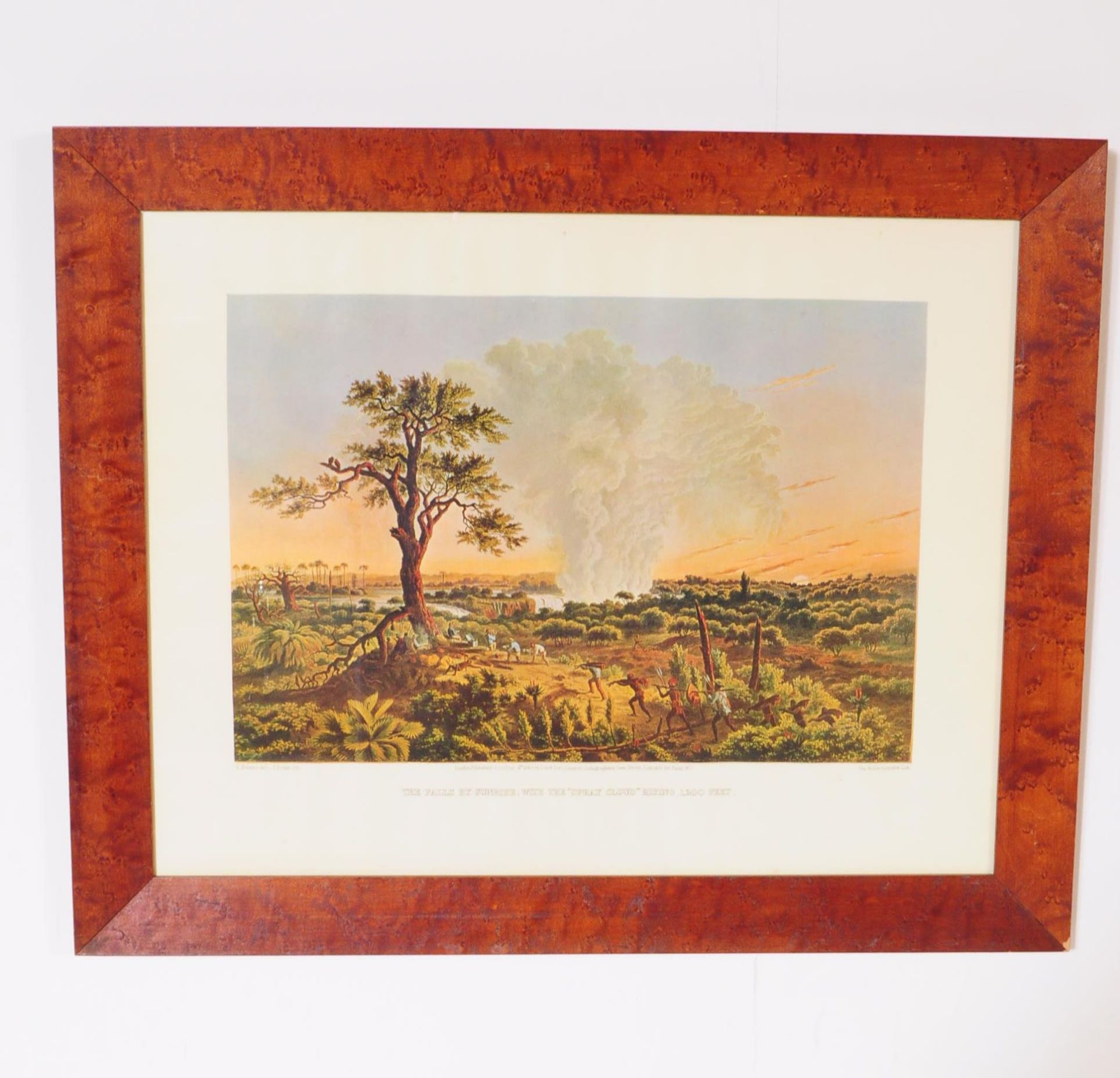 THOMAS BAINES - TWO VINTAGE 20TH CENTURY NATURE PRINTS - Image 3 of 8
