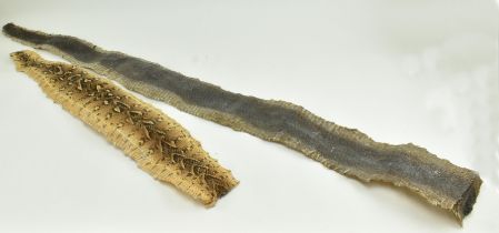 TWO 20TH CENTURY TAXIDERMY SNAKE SKINS