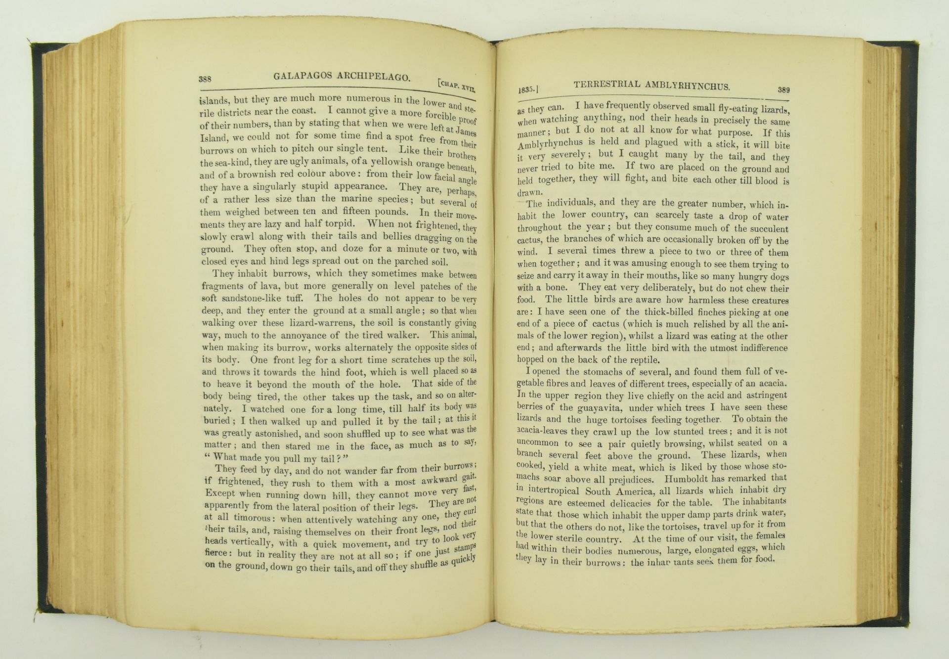 DARWIN, CHARLES. 1884 NATURALIST'S VOYAGE ROUND THE WORLD - Bild 9 aus 10