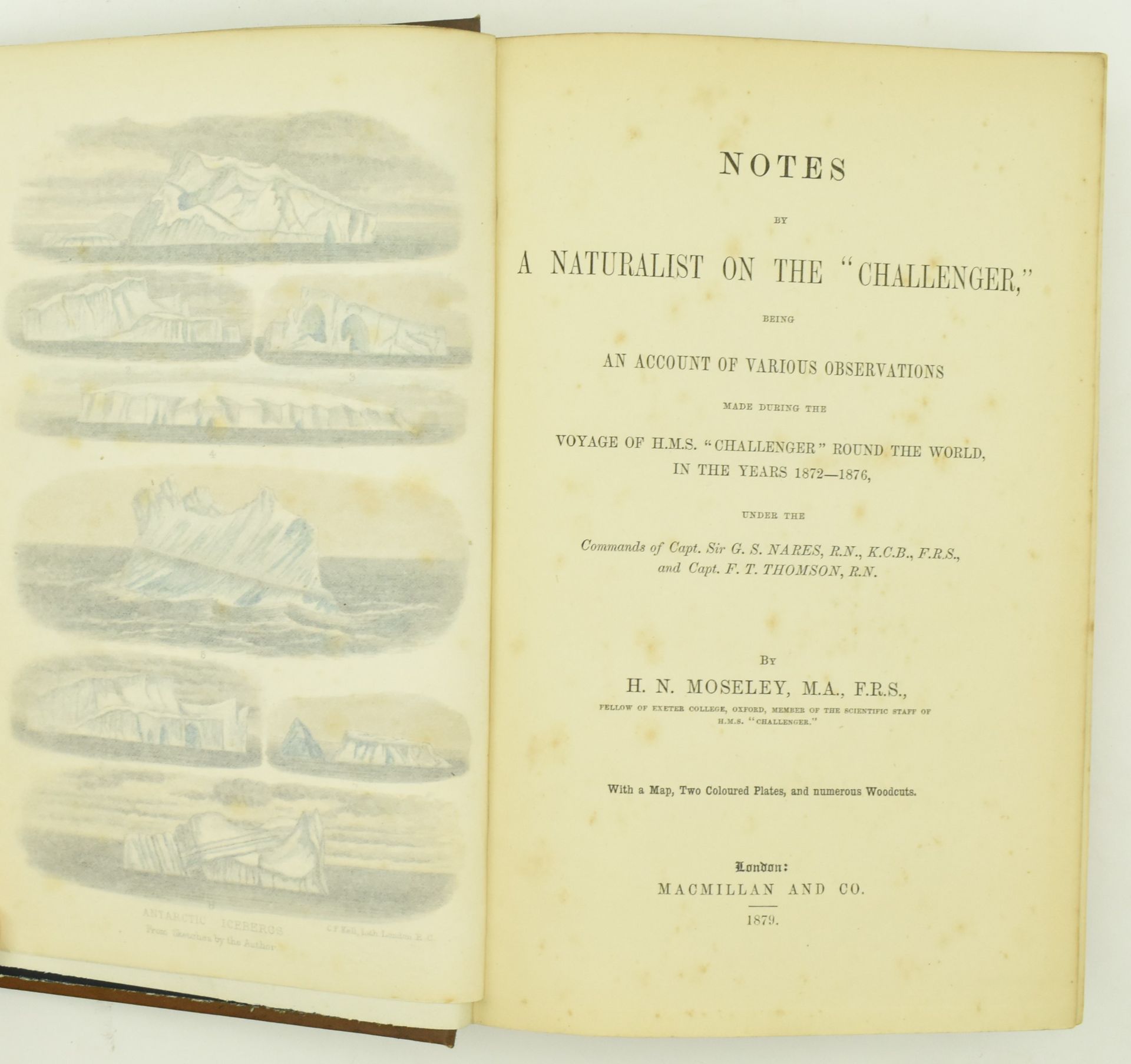 1879 NOTES BY A NATURALIST ON THE CHALLENGER, 1ST EDITION - Image 2 of 7