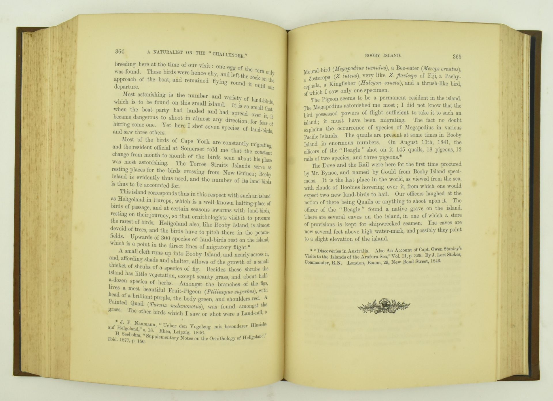 1879 NOTES BY A NATURALIST ON THE CHALLENGER, 1ST EDITION - Image 5 of 7