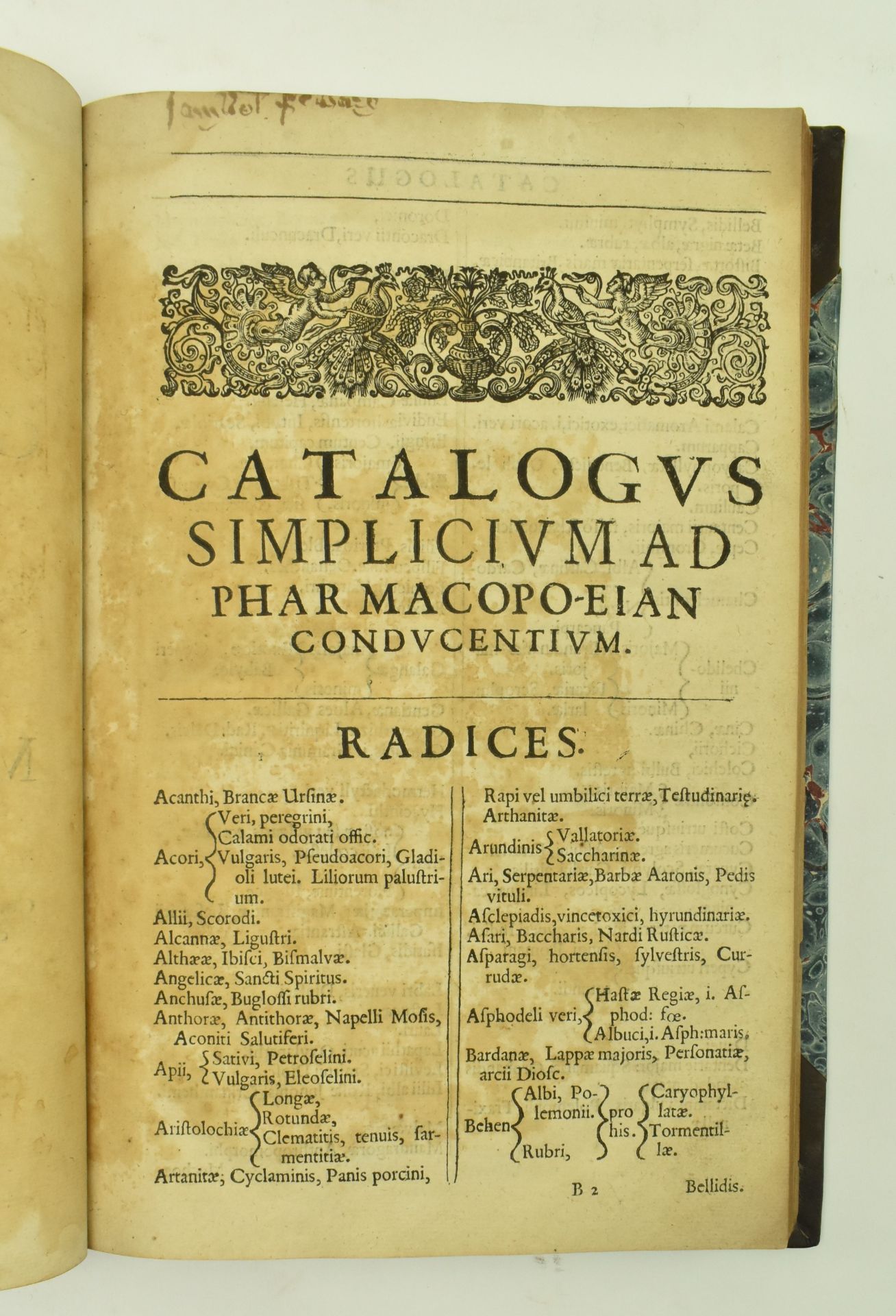 1638 PHARMACOPOEIA LONDINENSIS COLLEGARUM FIFTH EDITION - Bild 9 aus 9
