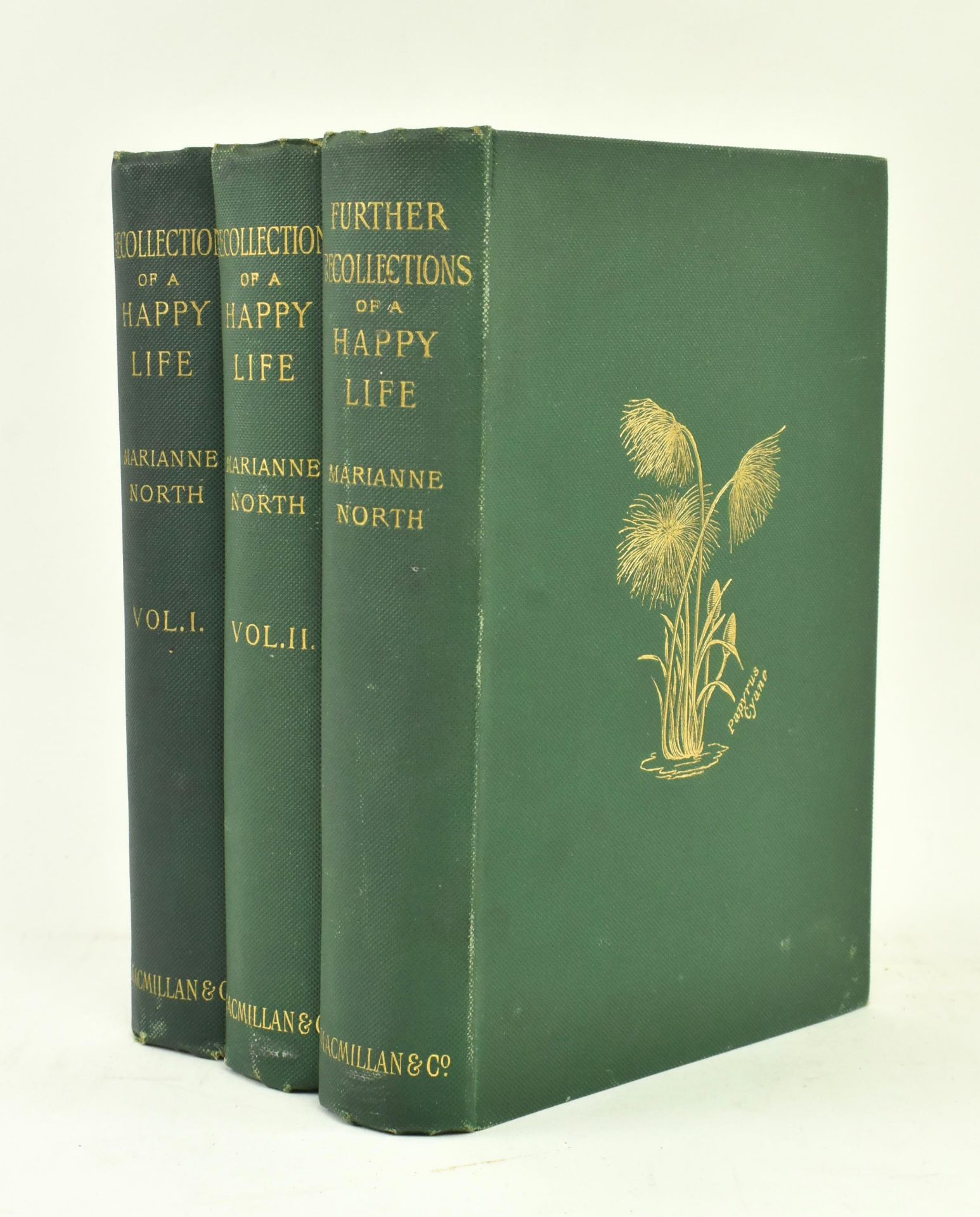 NORTH, MARIANNE. THREE VICTORIAN BIOGRAPHICAL VOLUMES