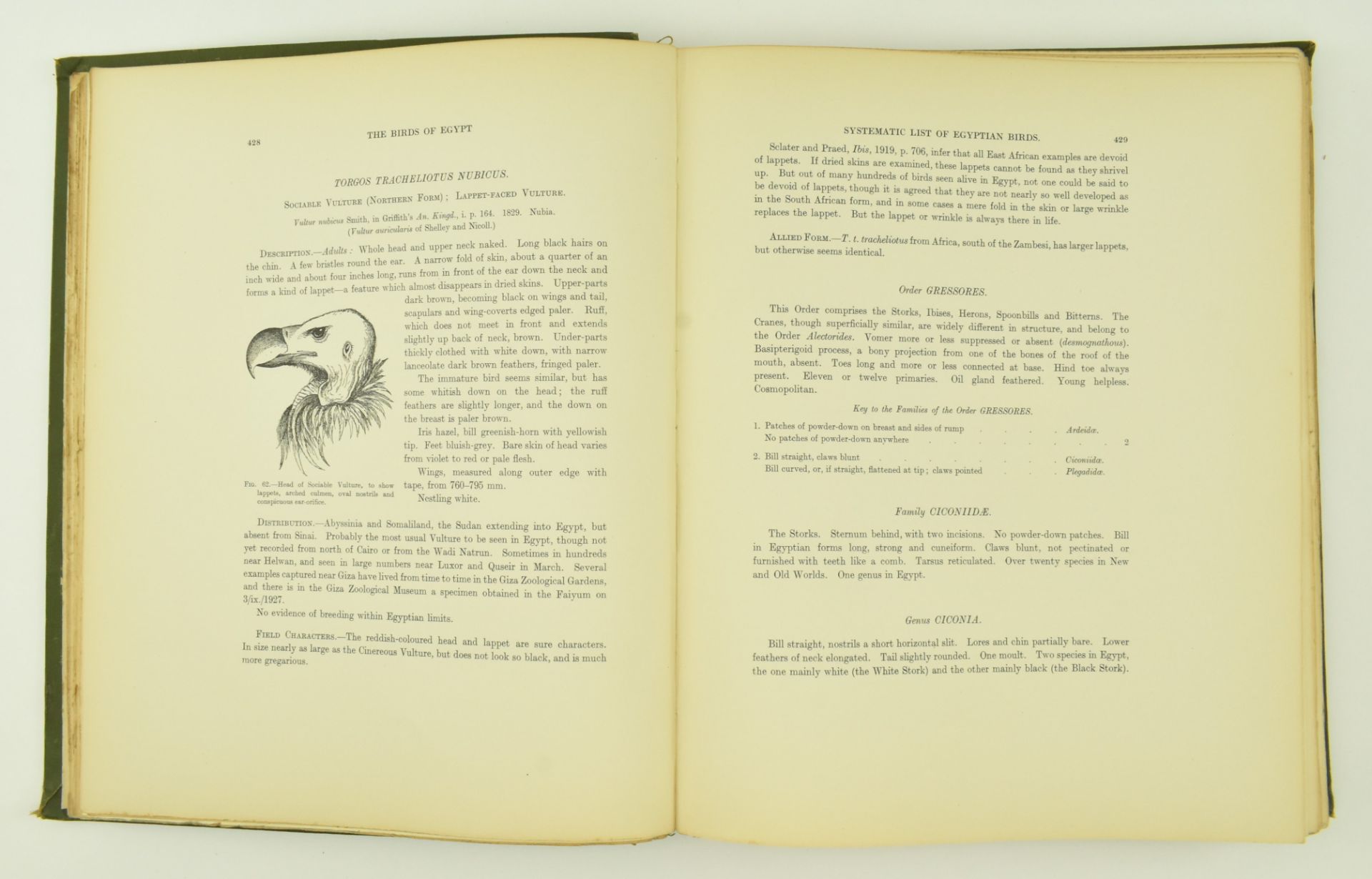 ORNITHOLOGY. 1930 NICOLL'S BIRDS OF EGYPT, R. MEINERTZHAGEN - Image 8 of 10