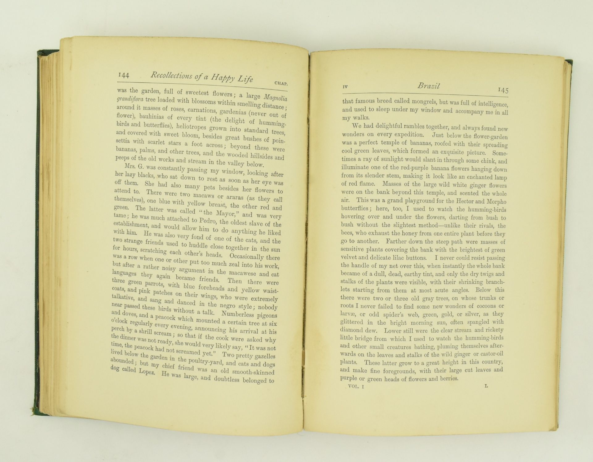NORTH, MARIANNE. THREE VICTORIAN BIOGRAPHICAL VOLUMES - Image 6 of 11