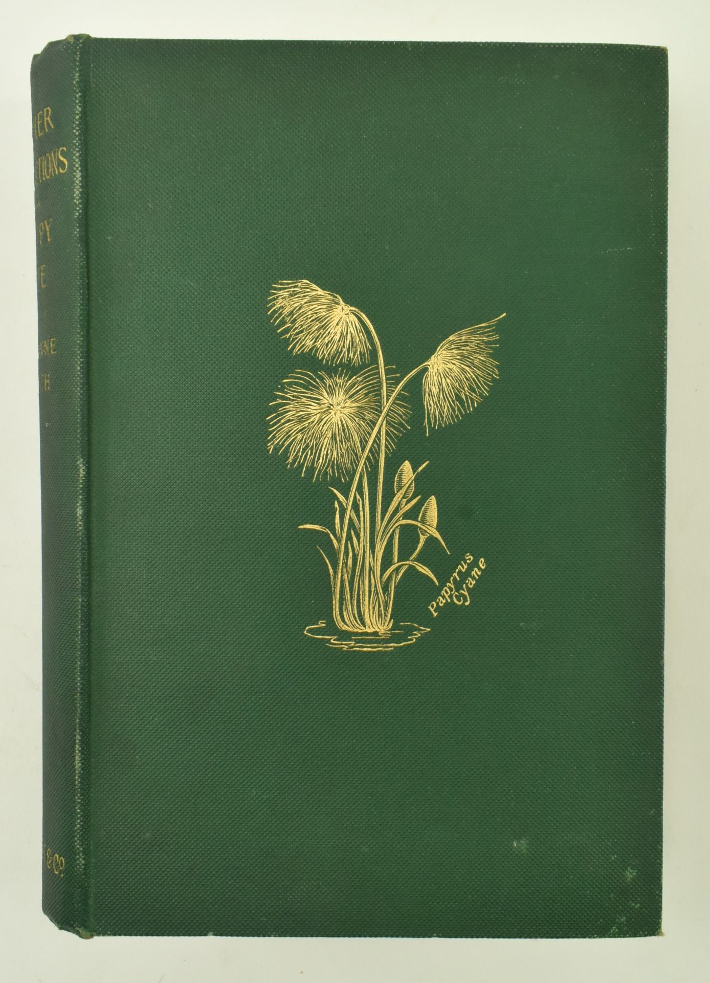 NORTH, MARIANNE. THREE VICTORIAN BIOGRAPHICAL VOLUMES - Image 9 of 11