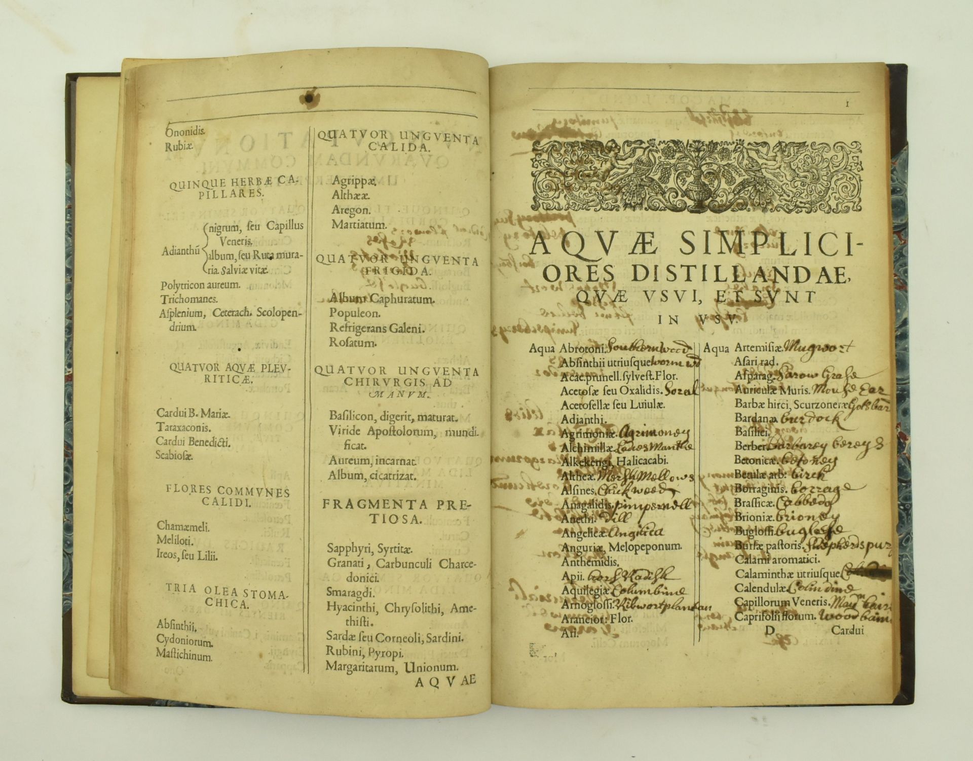 1638 PHARMACOPOEIA LONDINENSIS COLLEGARUM FIFTH EDITION - Bild 5 aus 9