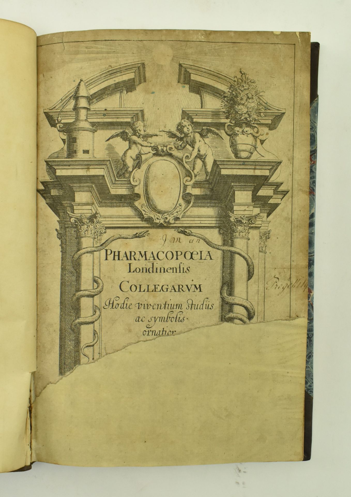 1638 PHARMACOPOEIA LONDINENSIS COLLEGARUM FIFTH EDITION - Bild 2 aus 9