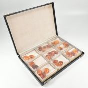 CASED COLLECTION OF 23 AMBER SPECIMENS