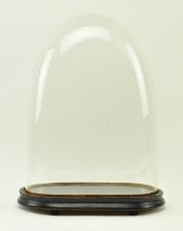 VICTORIAN GLASS DISPLAY DOME AND MAHOGANY STAND