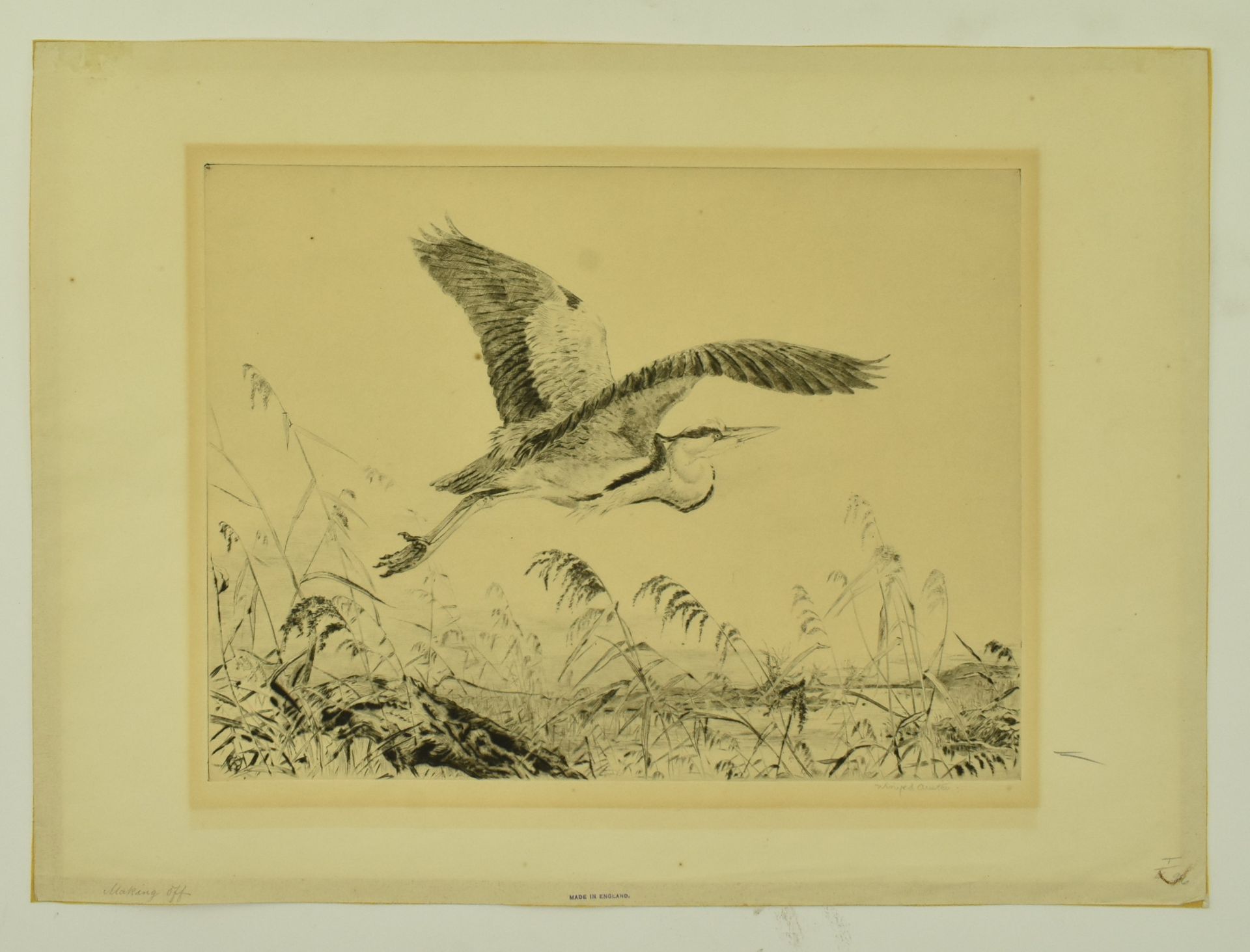 WINIFRED AUSTEN - MAKING OFF - DRYPOINT ETCHING OF STORK - Bild 2 aus 6