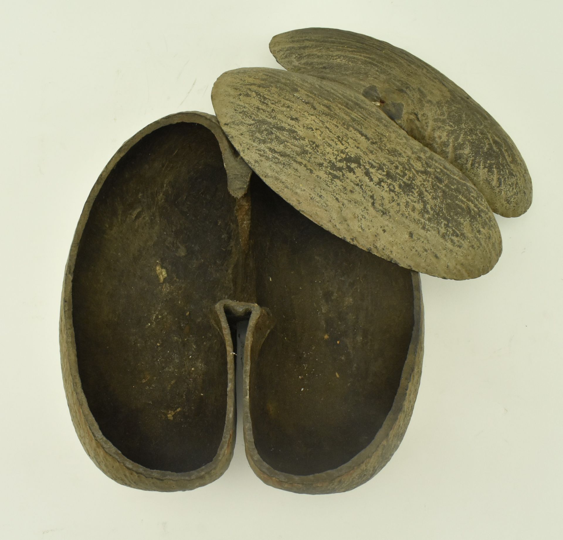 UNPOLISHED COCO DE MER NUT WITH CUT TOP - Image 3 of 5