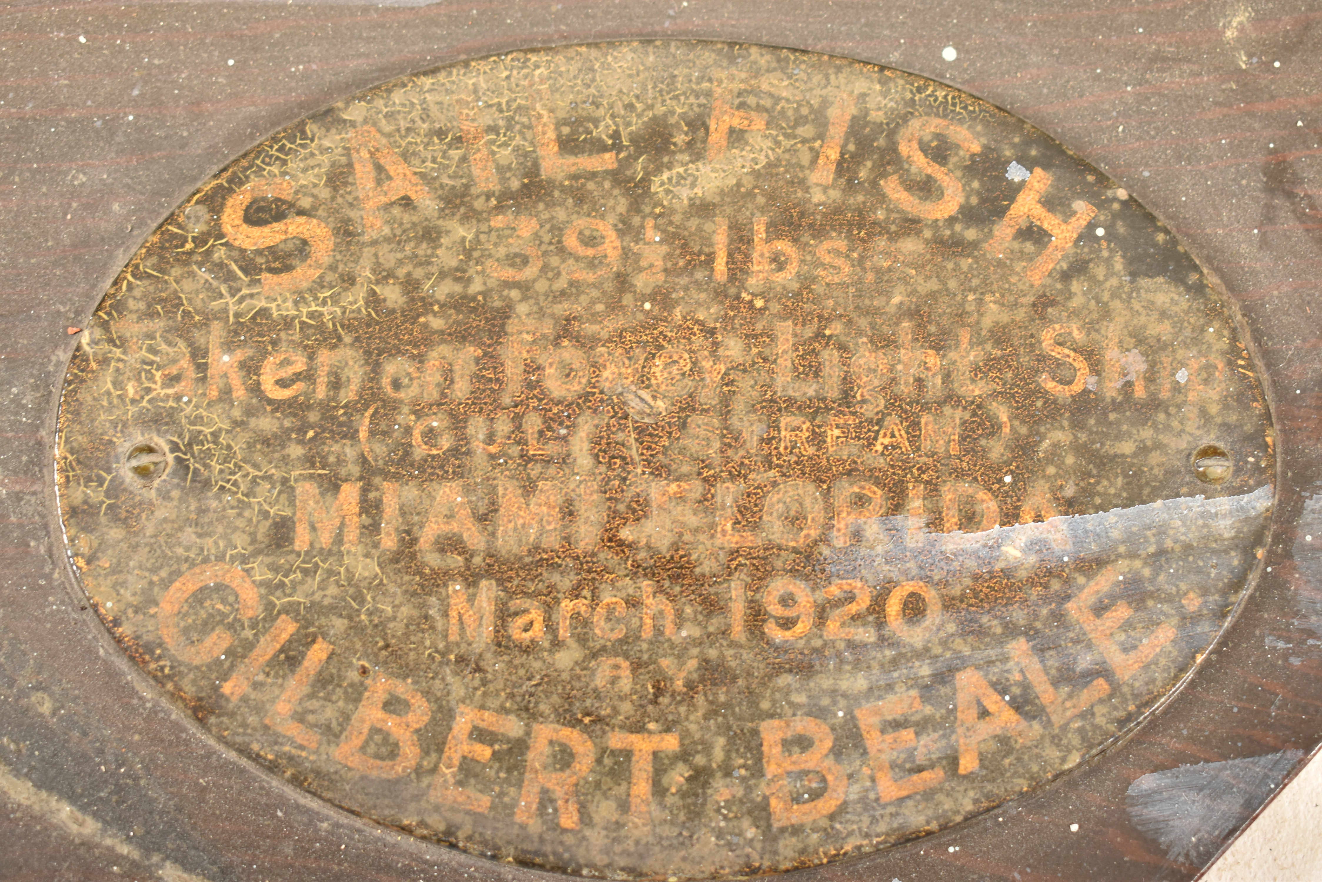 1920S TAXIDERMY SAIL FISH MOUNTED ON WOOD WITH PLAQUE - Image 2 of 8