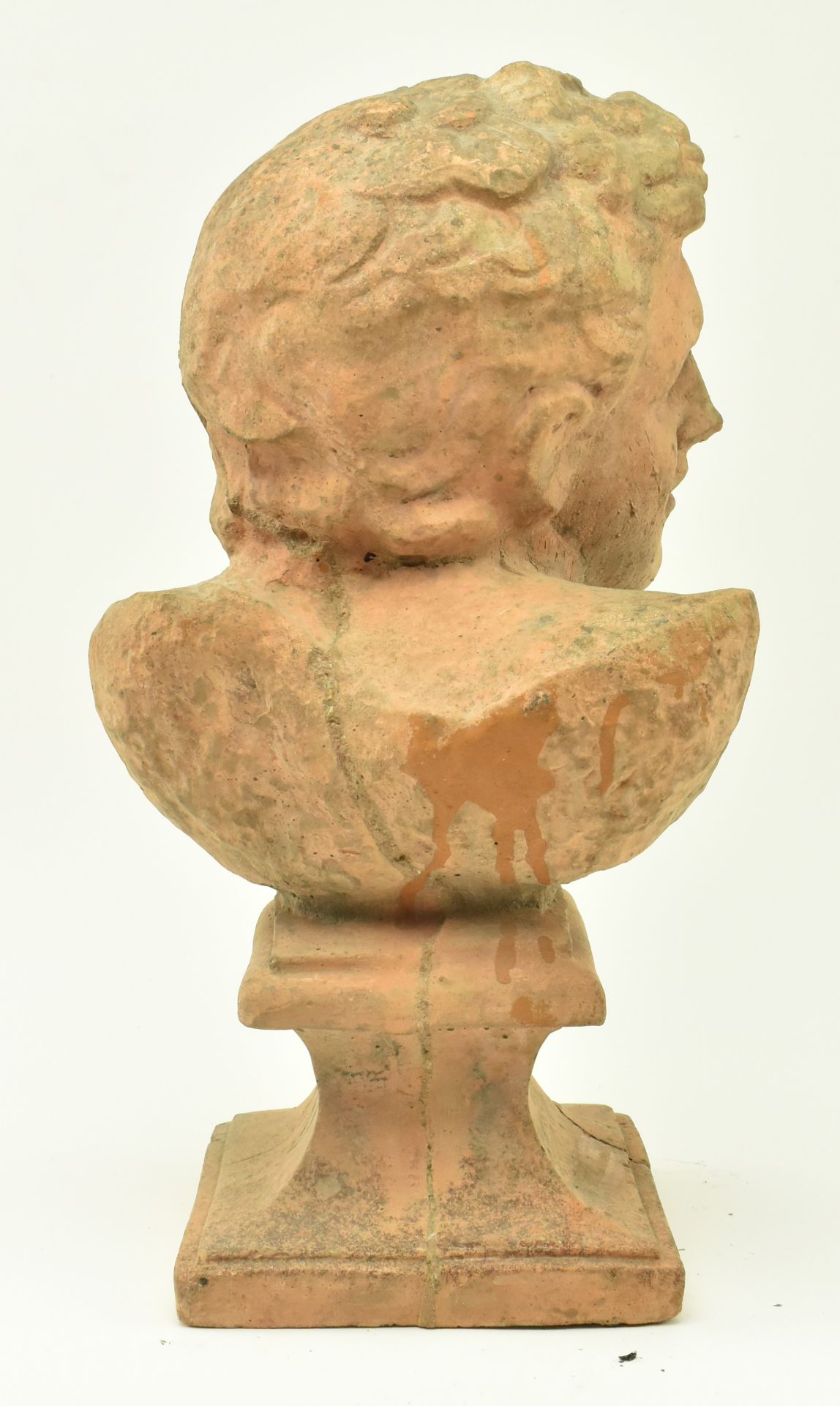 EARLY 20TH CENTURY TERRACOTTA CLASSICAL BUST OF HERCULES - Image 3 of 6