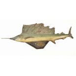 1920S TAXIDERMY SAIL FISH MOUNTED ON WOOD WITH PLAQUE